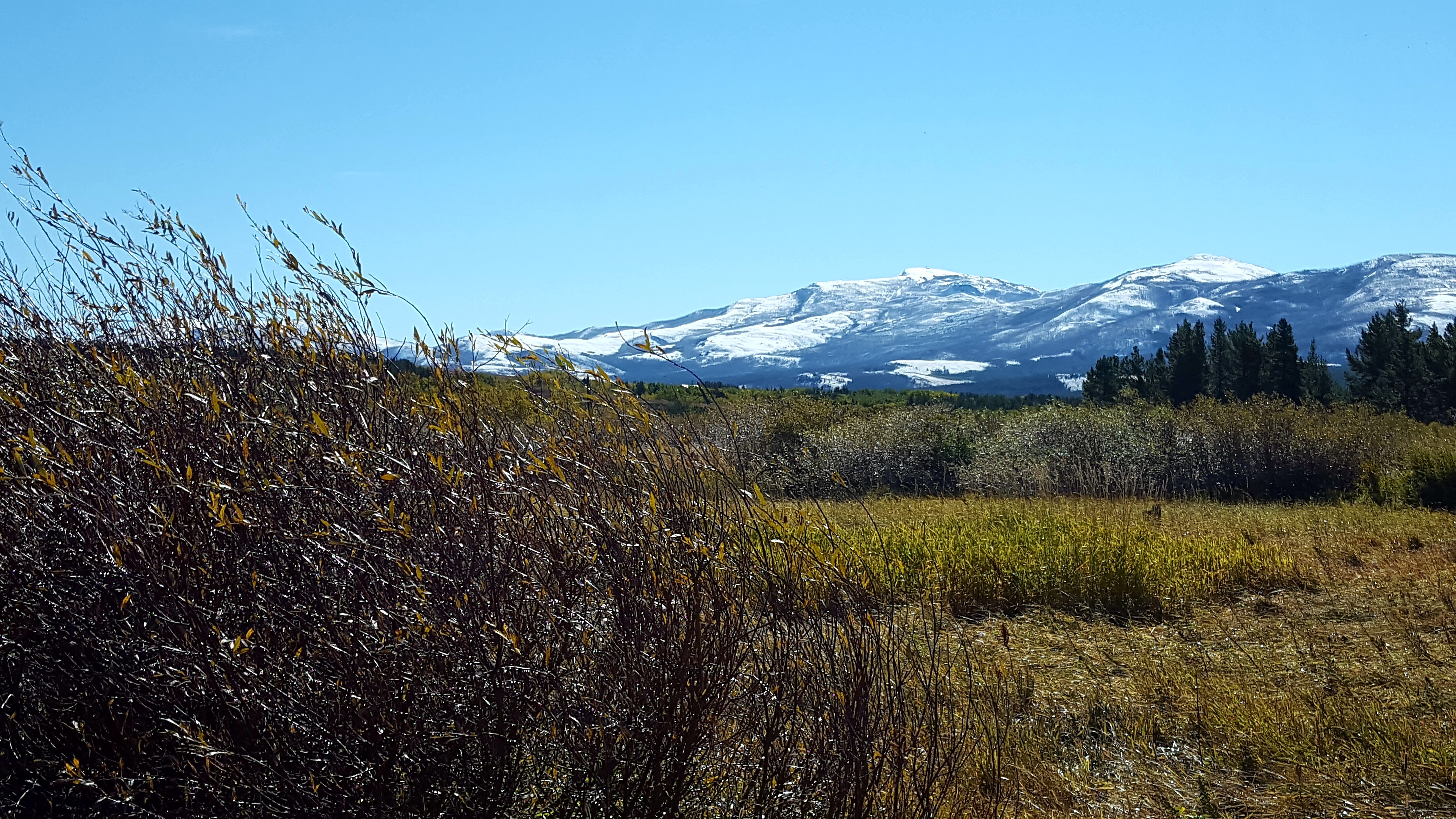 2016FirebrandPassTrViews