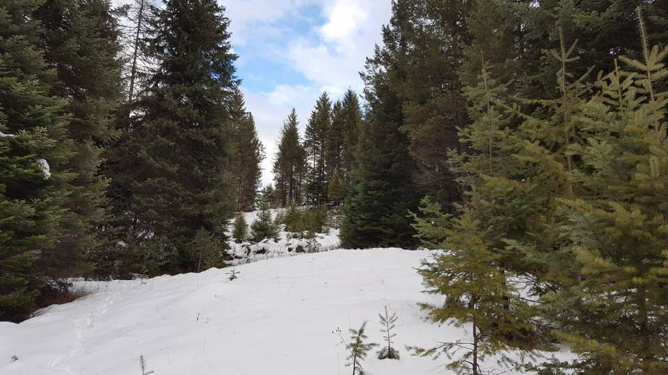 Looking up at future home site which affords Swan views