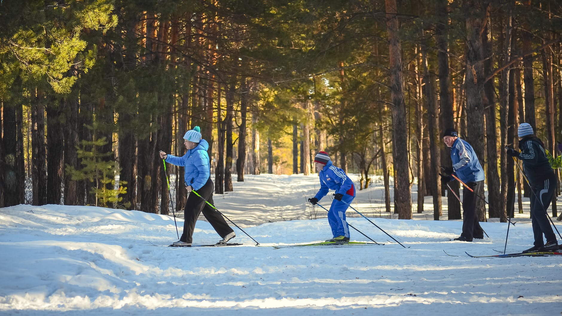 forest winter sport skiing
