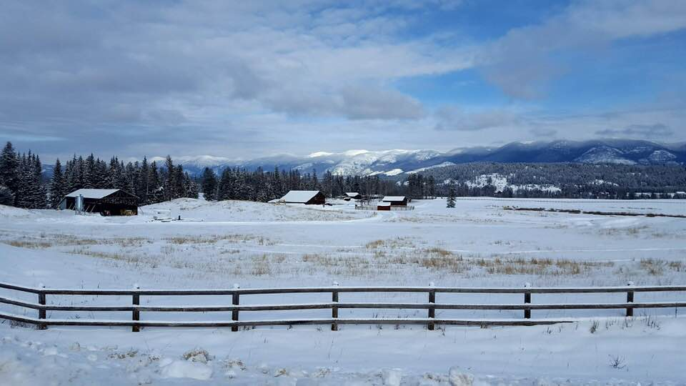 Views on road trip to Round Meadow