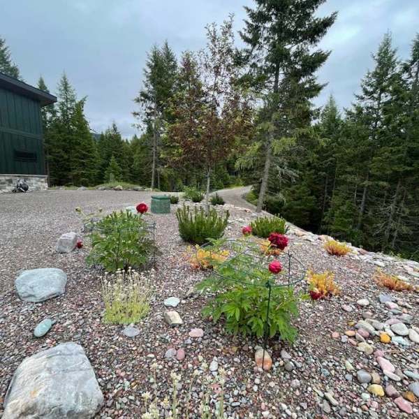 Mountain Meadowscape Update
