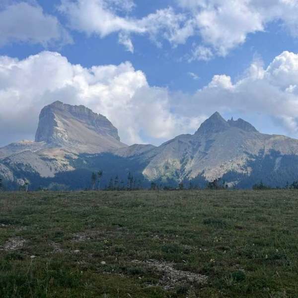 Lee Ridge Trail